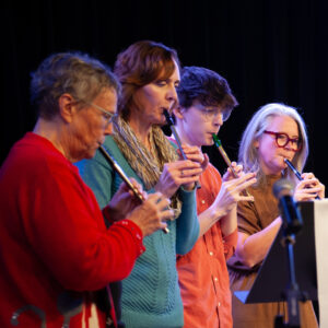 Tin whistle for adults
